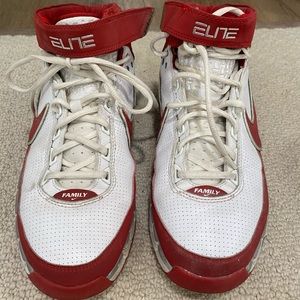 Nike Air Huarache Elite II Family Basketball shoe